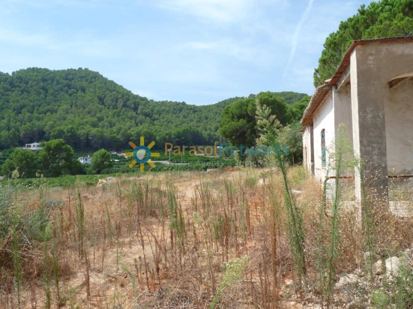 Building Plot for sale in Real de Gandia - € 159,000 (Ref: 10009612)