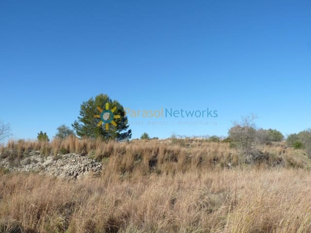 Teren niezagospodarowany na sprzedaż w Castelló de Rugat - 26 000 € (Ref: 10009668)