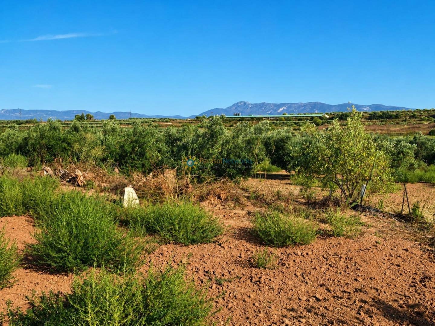 Undeveloped Land for sale in Guadasequies - € 73,000 (Ref: 10009974)