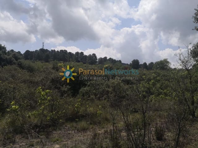 Działka budowlana na sprzedaż w Castelló de Rugat - 19 000 € (Ref: 10009976)