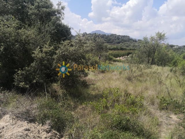 Działka budowlana na sprzedaż w Castelló de Rugat - 19 000 € (Ref: 10009976)