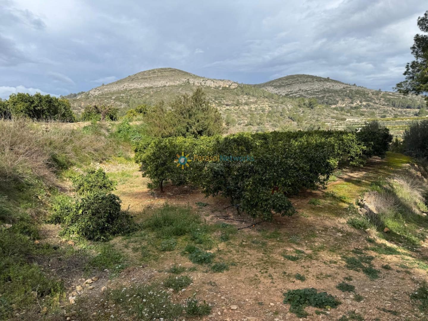 Tomt till salu i Beniganim - 29 000 € (Ref: 10014894)