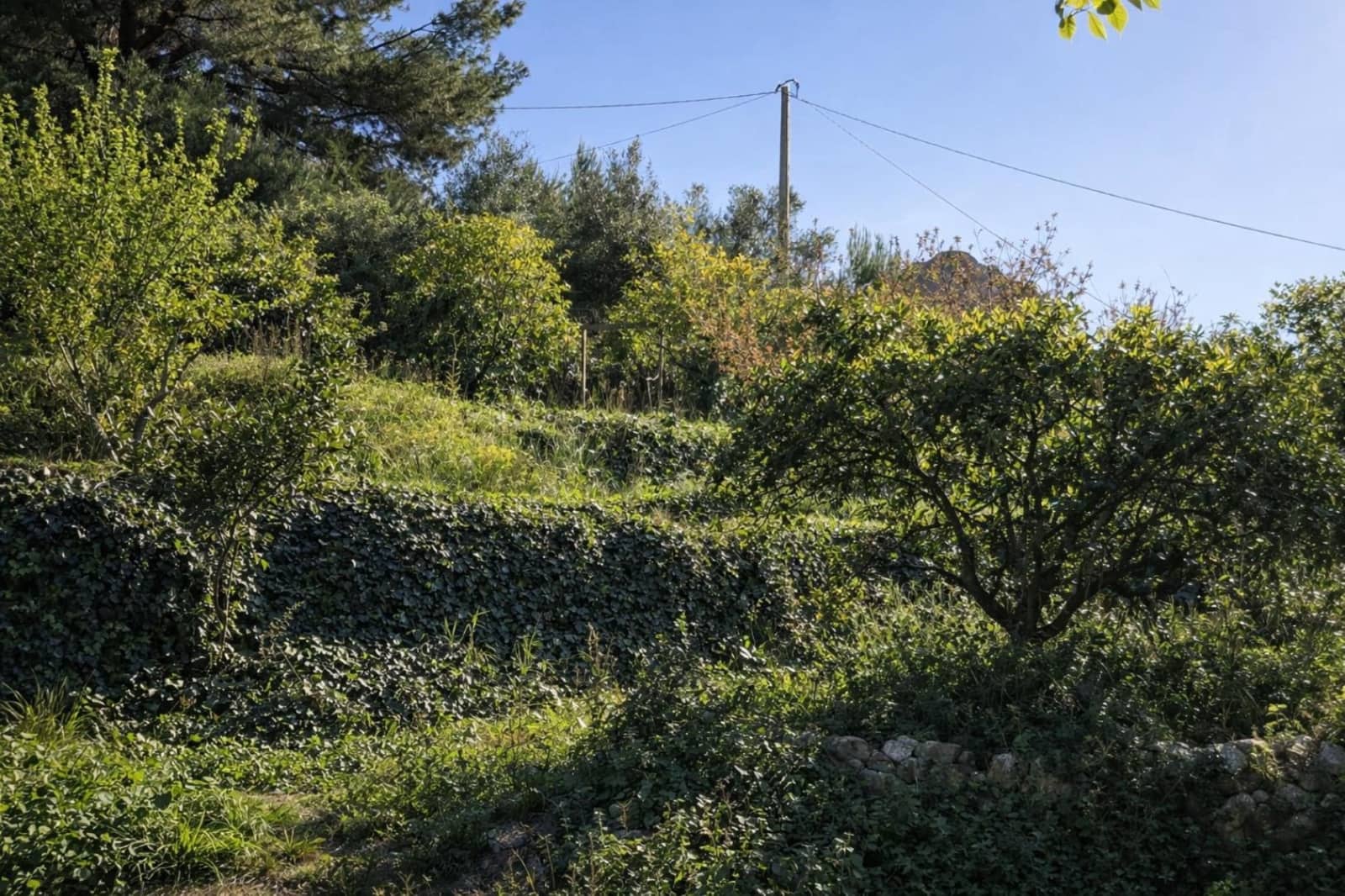 Działka budowlana na sprzedaż w Benimeli - 68 000 € (Ref: 10019433)