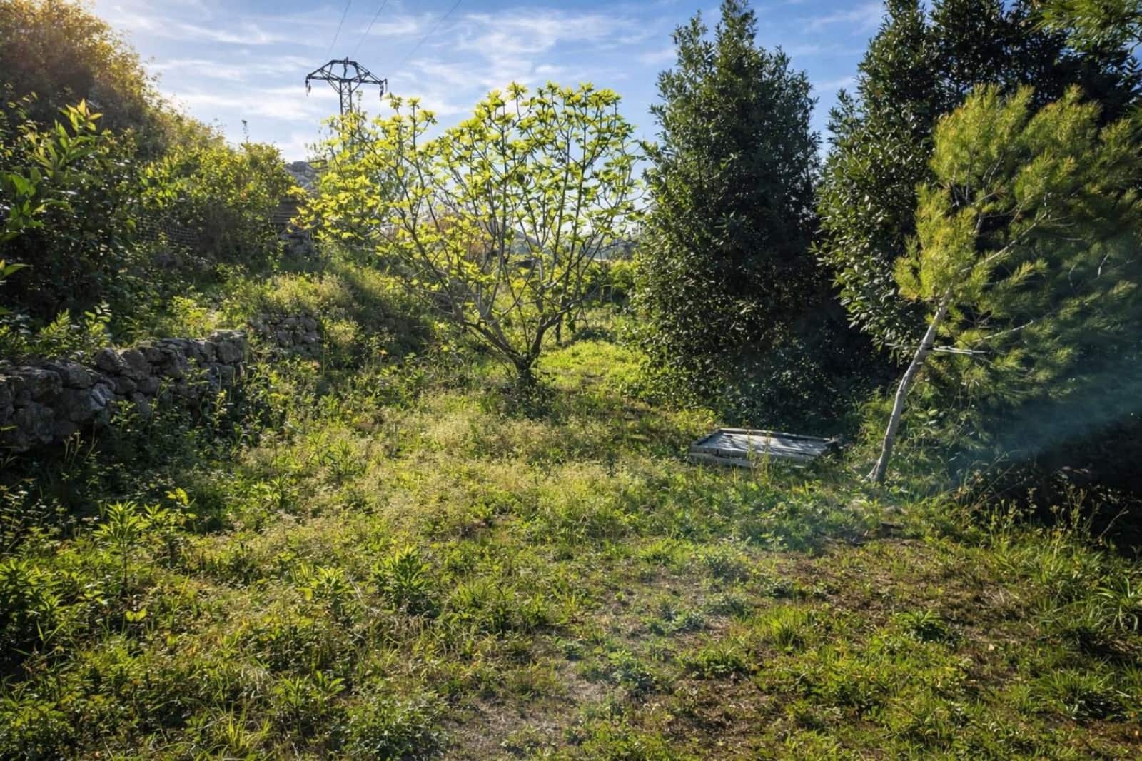 Działka budowlana na sprzedaż w Benimeli - 68 000 € (Ref: 10019433)