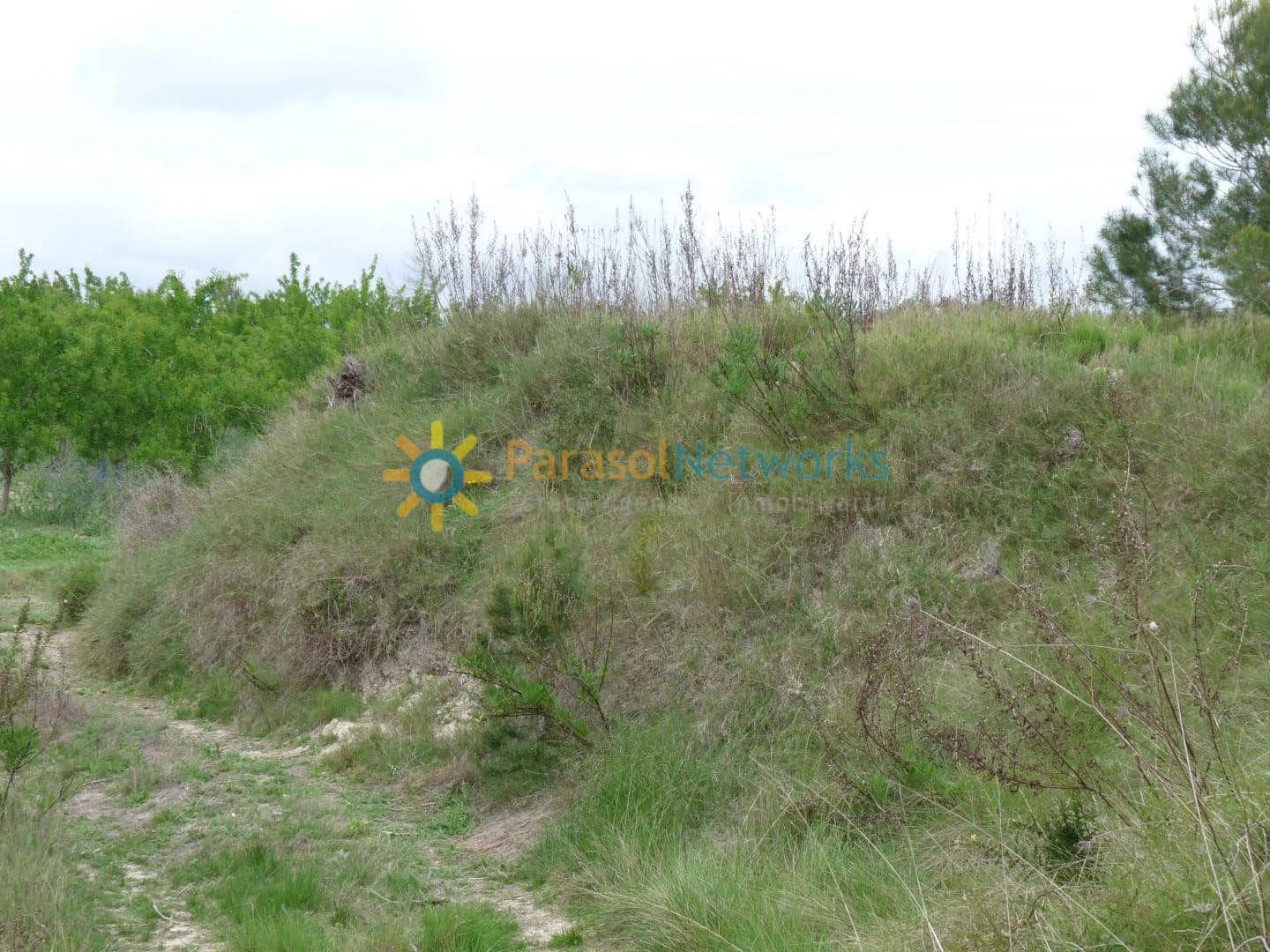 Grond te koop in Castello de Rugat - € 35.000 (Ref: 10019759)