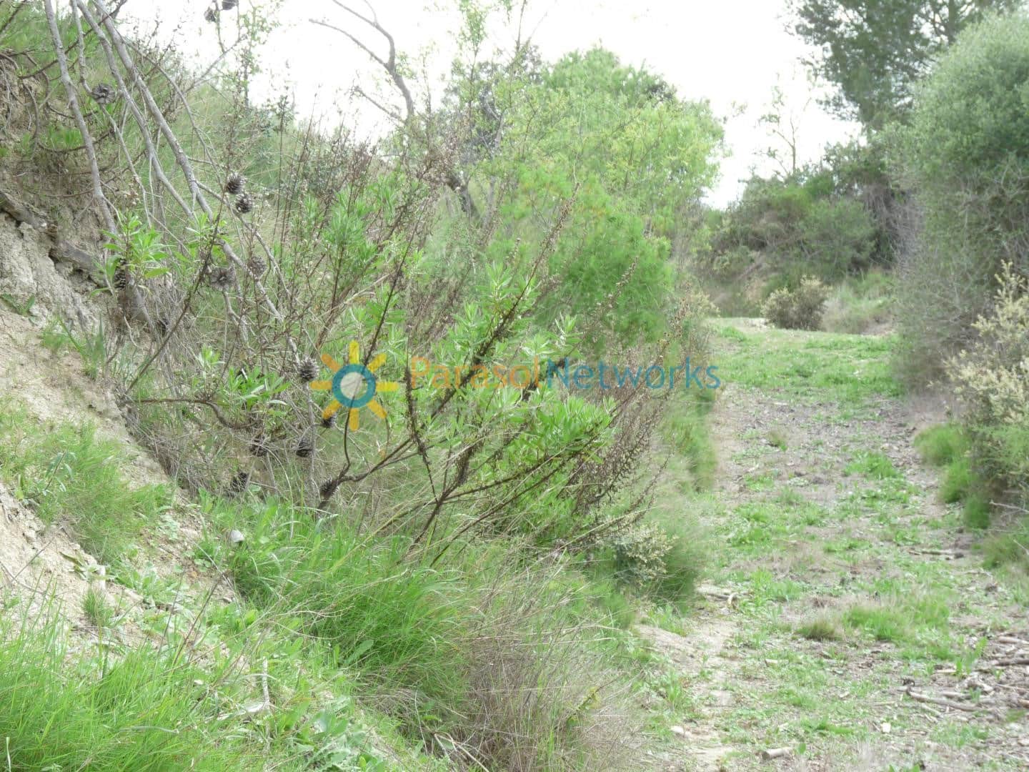 Grond te koop in Castello de Rugat - € 35.000 (Ref: 10019759)