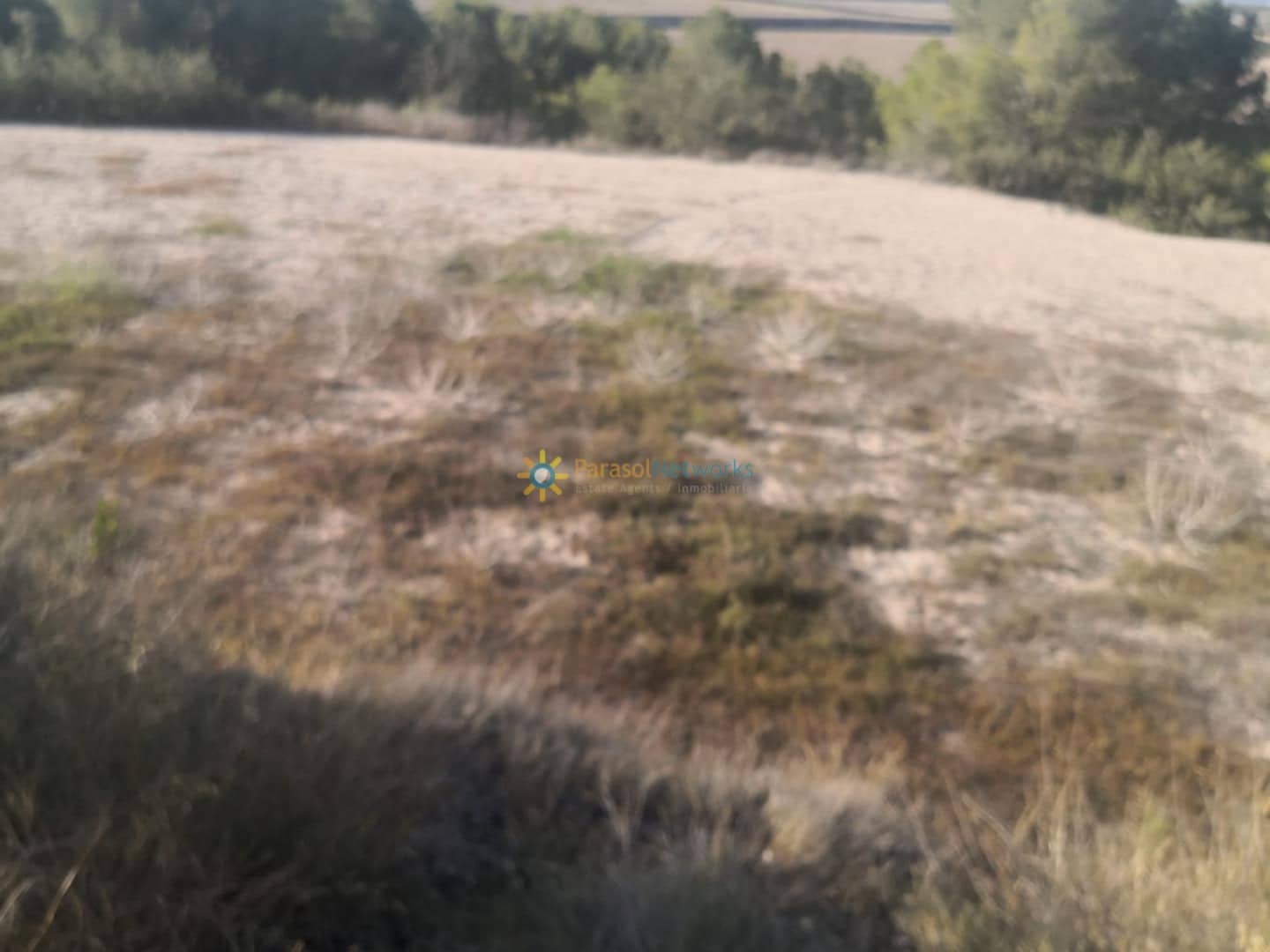 Terre non Aménagée à vendre à Albaida - 100 000 € (Ref: 10019820)