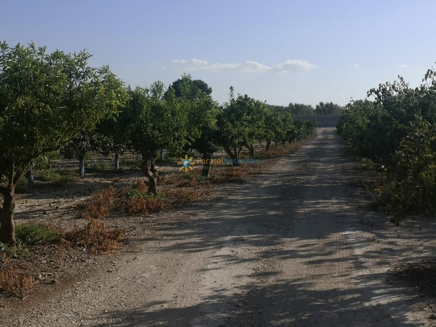 Terre non Aménagée à vendre à Albaida - 100 000 € (Ref: 10019820)