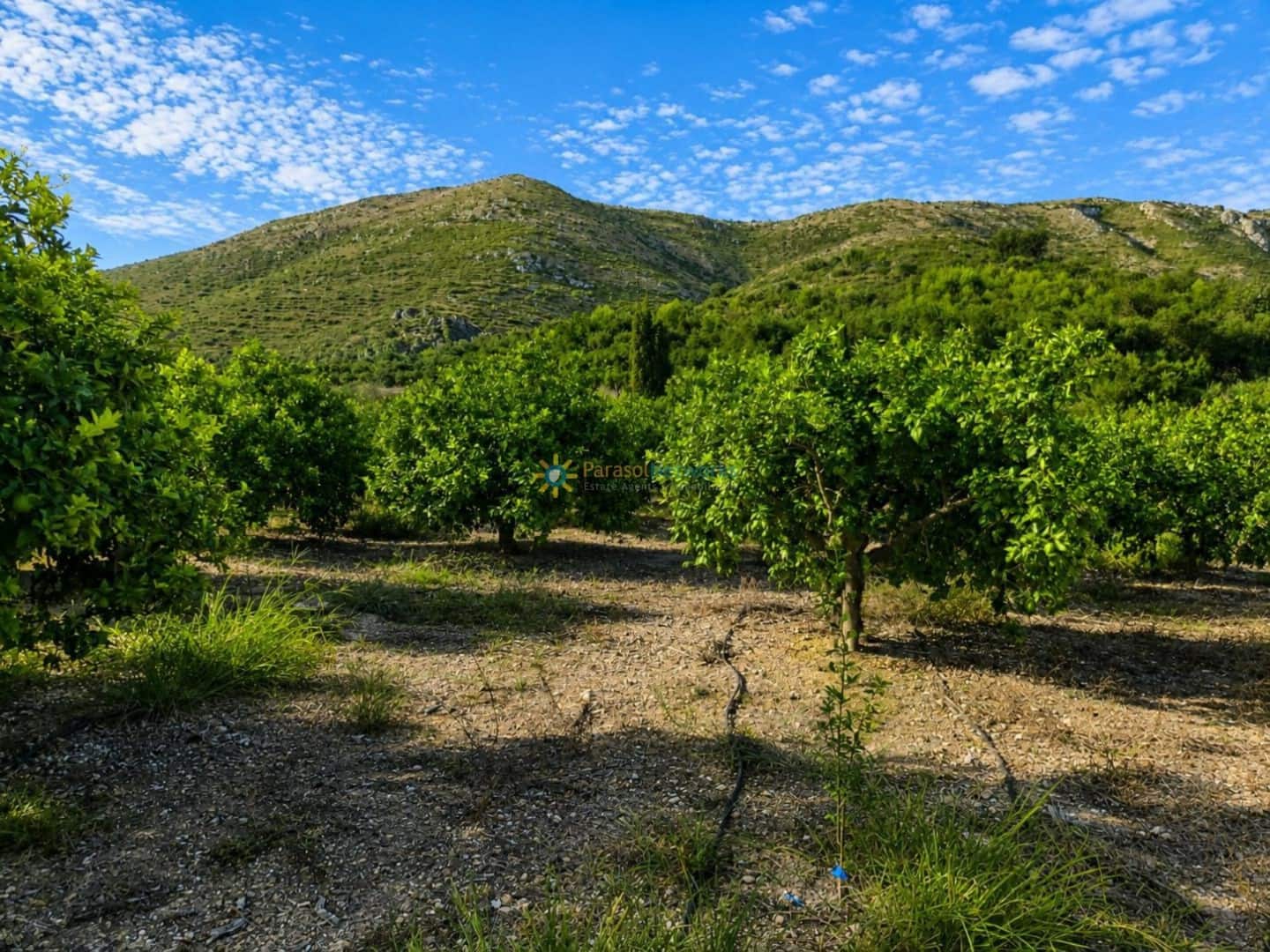 Terreno para Construção para venda em Pego - 130 000 € (Ref: 10019916)