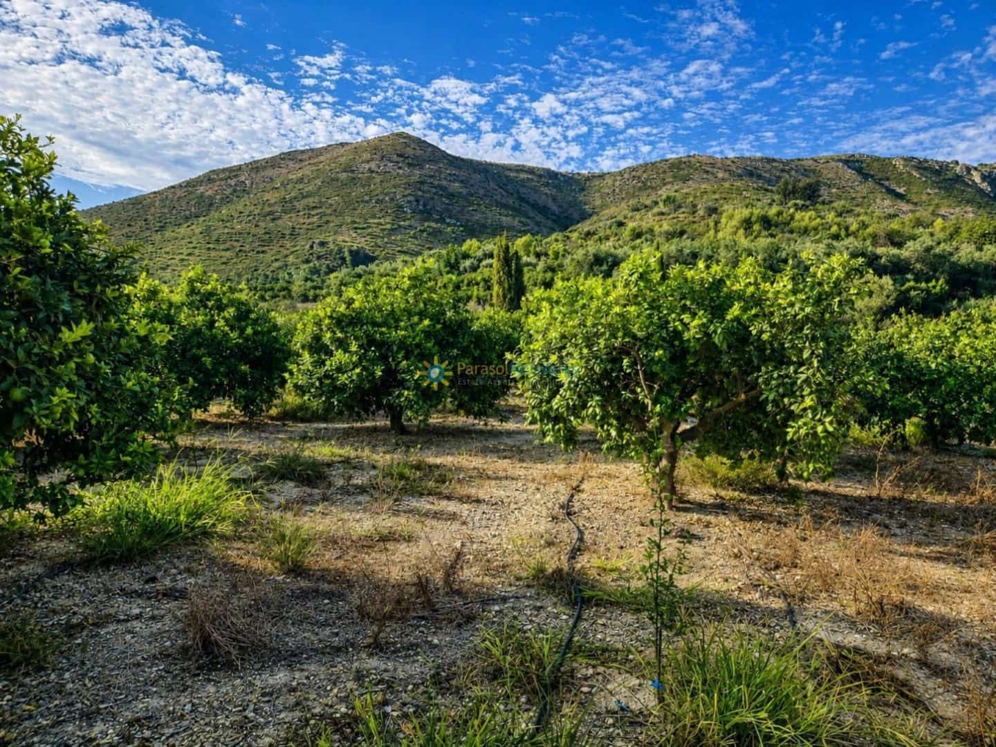 Terreno para Construção para venda em Pego - 130 000 € (Ref: 10019916)