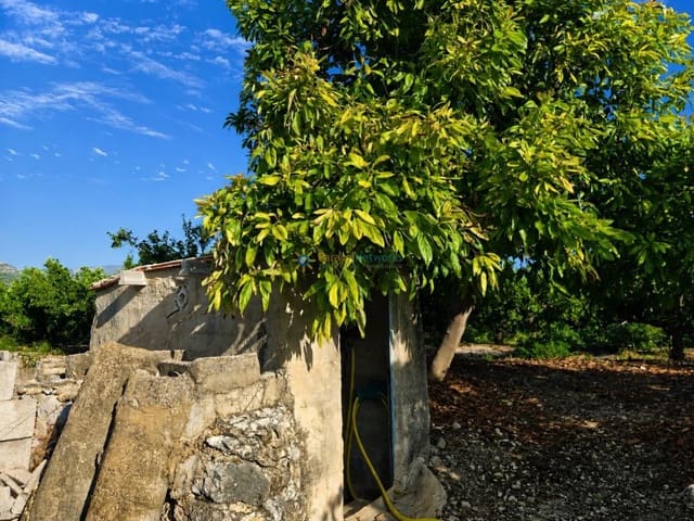 Terreno para Construção para venda em Pego - 130 000 € (Ref: 10019916)