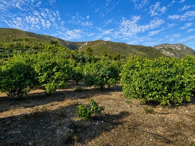 Terreno para Construção para venda em Pego - 130 000 € (Ref: 10019916)