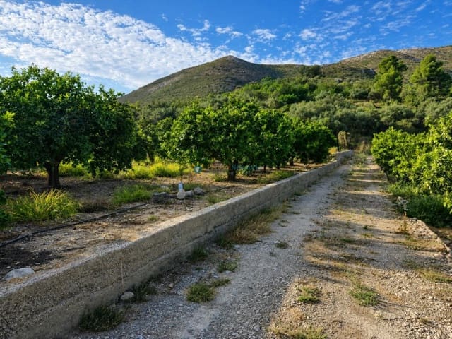 Terreno para Construção para venda em Pego - 130 000 € (Ref: 10019916)