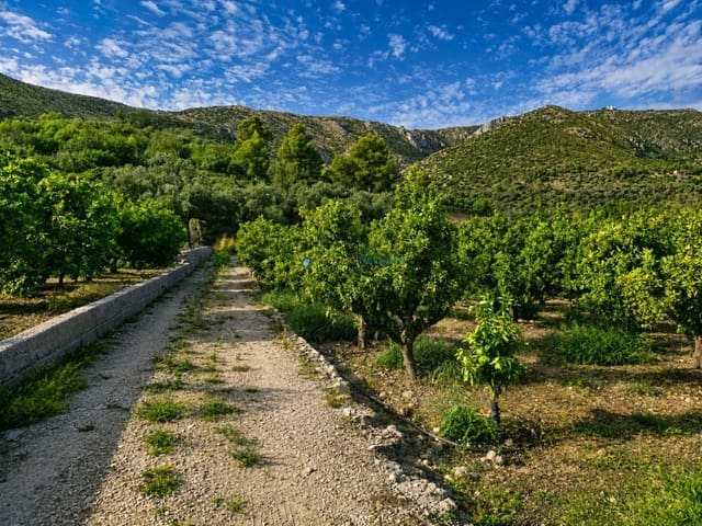 Terreno para Construção para venda em Pego - 130 000 € (Ref: 10019916)