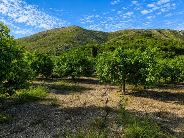 Terreno para Construção para venda em Pego - 130 000 € (Ref: 10019916)