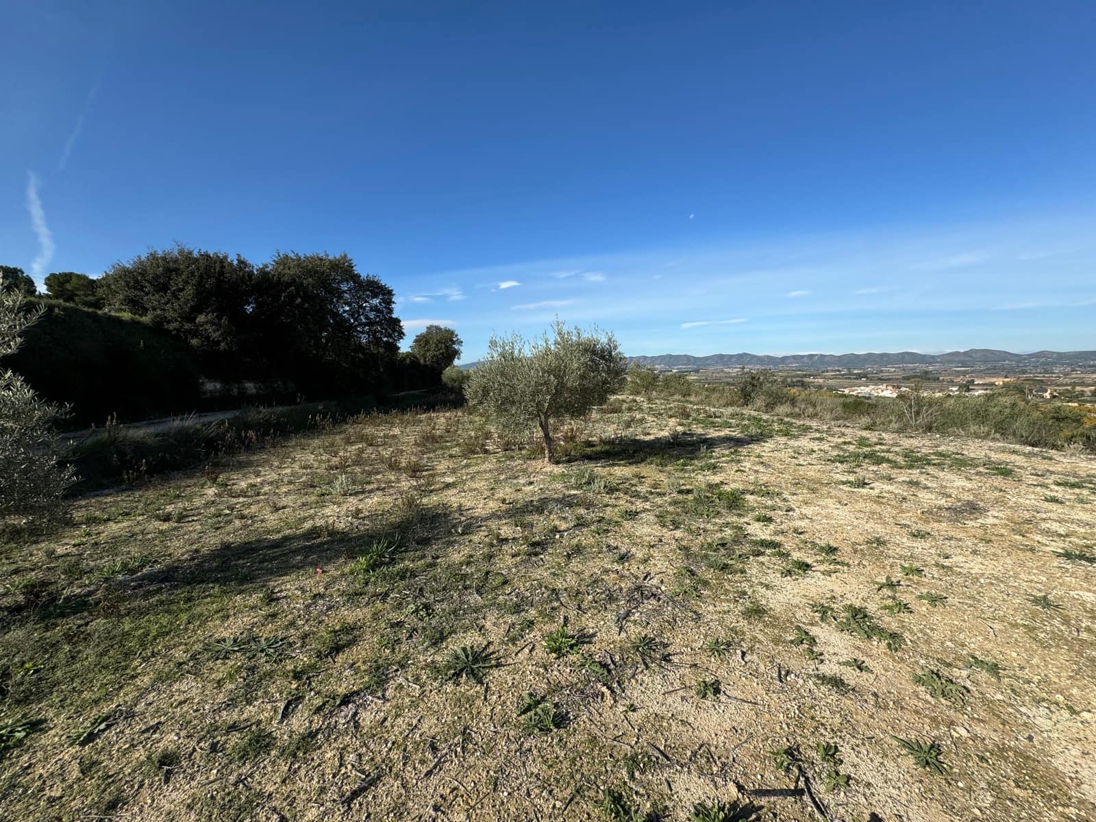 2 bedroom Finca/Country House for sale in Palomar with garage - € 128,000 (Ref: 10021182)