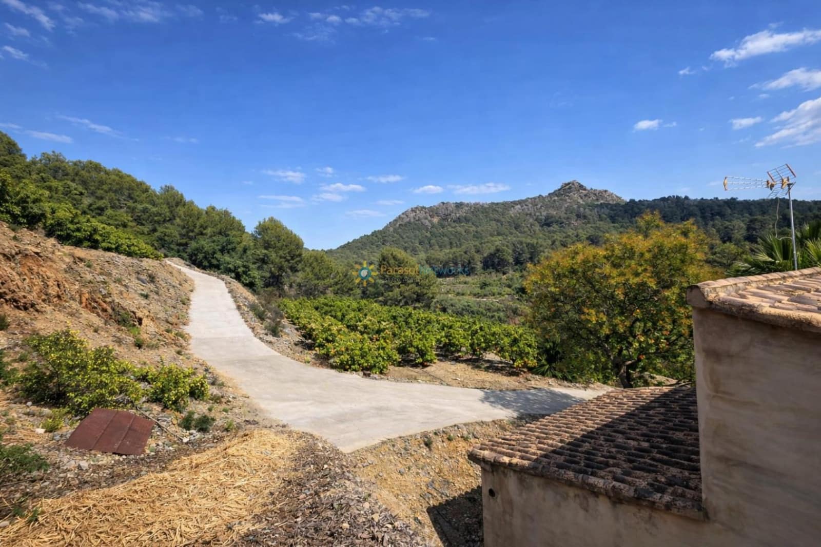 1 Zimmer Villa zu verkaufen in Alfauir - 125.000 € (Ref: 10021302)