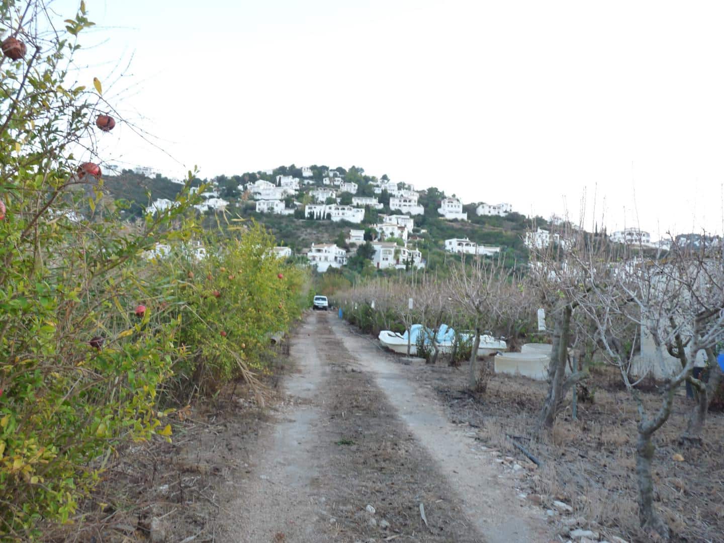Byggegrund til salg i Pego - € 50.000 (Ref: 10021612)