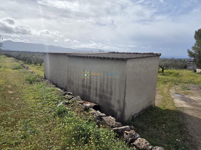 Mark till salu i Benigánim - 68 000 € (Ref: 10021677)