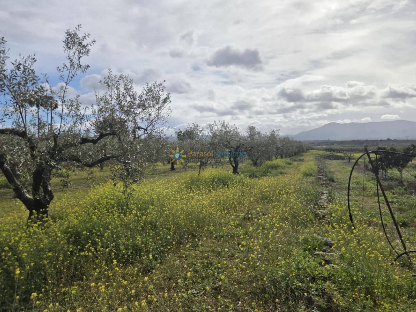 Mark till salu i Beniganim - 68 000 € (Ref: 10021677)
