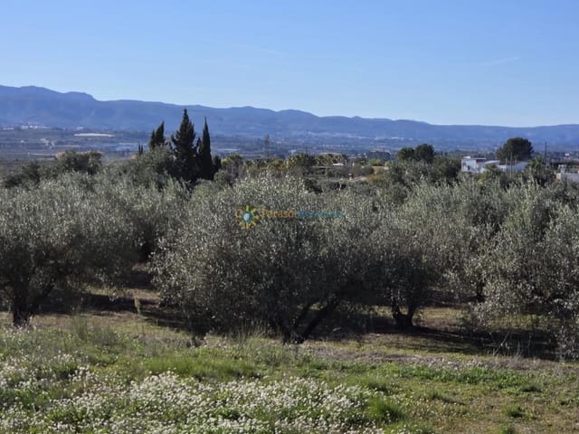 Mark till salu i Benigánim - 68 000 € (Ref: 10021677)