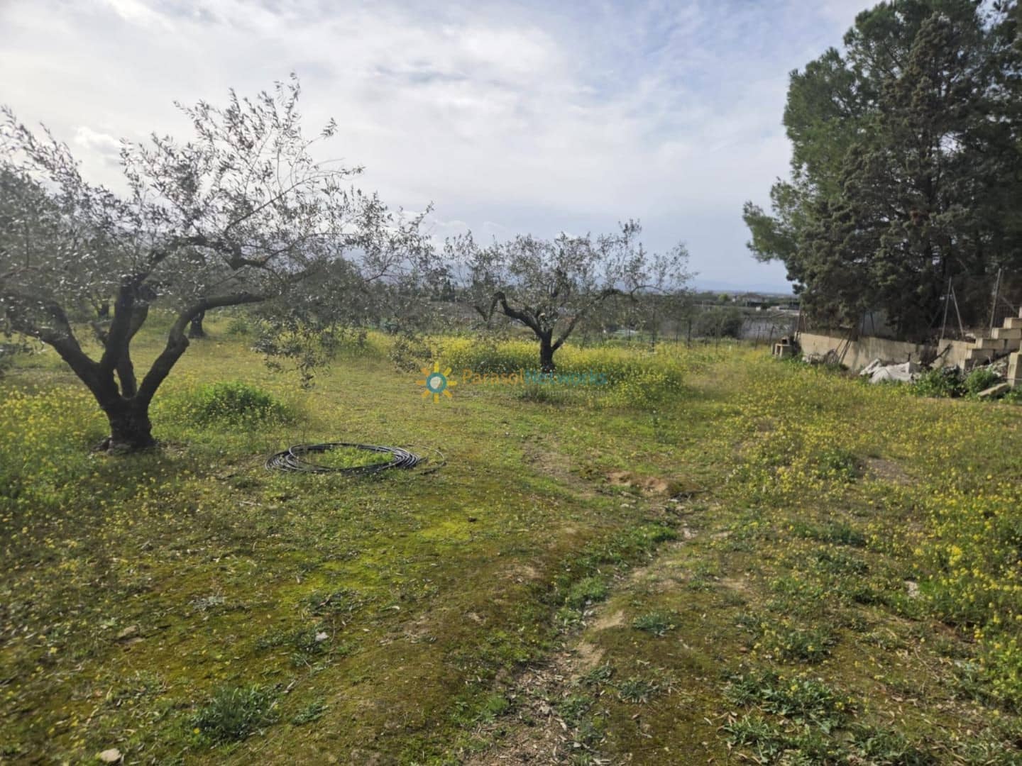 Mark till salu i Beniganim - 68 000 € (Ref: 10021677)