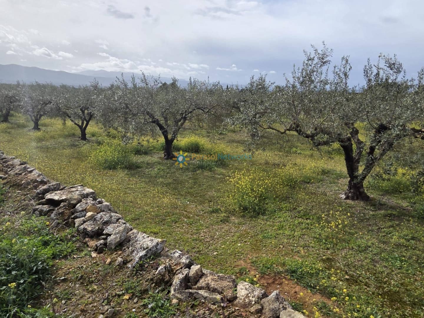 Mark till salu i Beniganim - 68 000 € (Ref: 10021677)