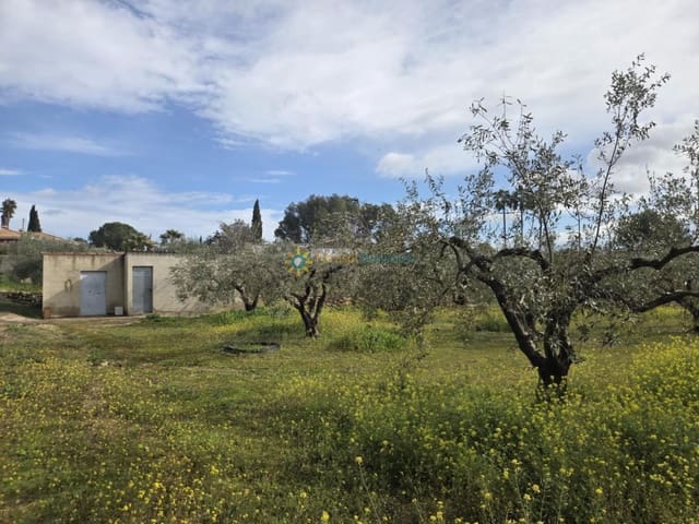 Mark till salu i Benigánim - 68 000 € (Ref: 10021677)
