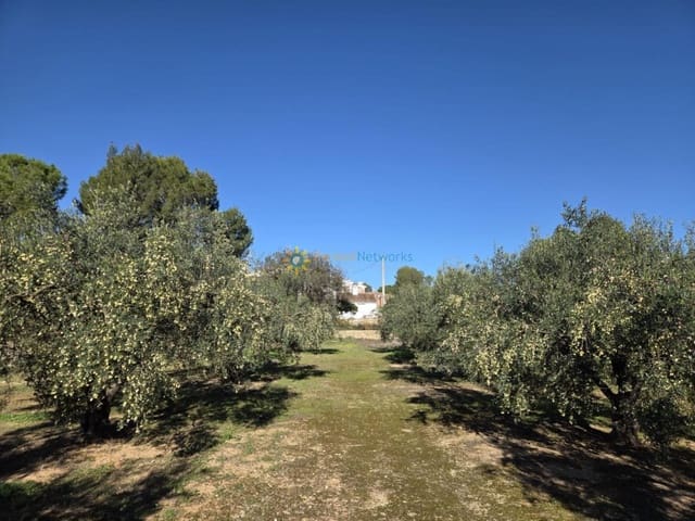 Mark till salu i Benigánim - 68 000 € (Ref: 10021677)