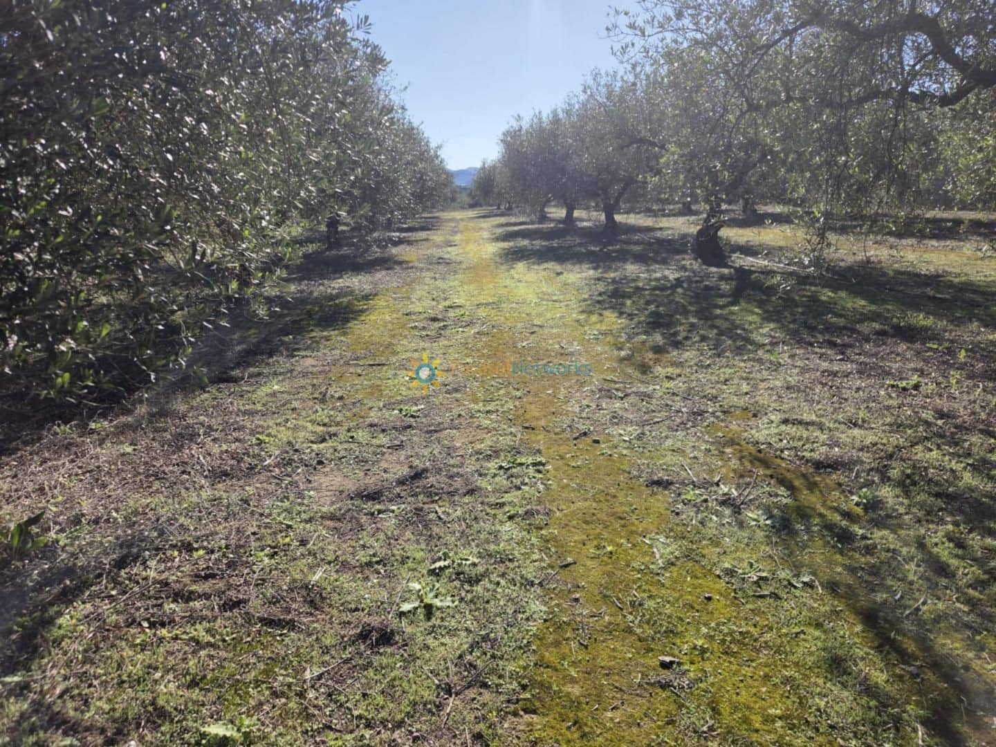 Mark till salu i Beniganim - 68 000 € (Ref: 10021677)