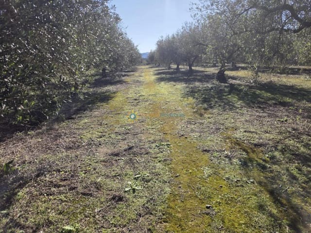 Mark till salu i Benigánim - 68 000 € (Ref: 10021677)