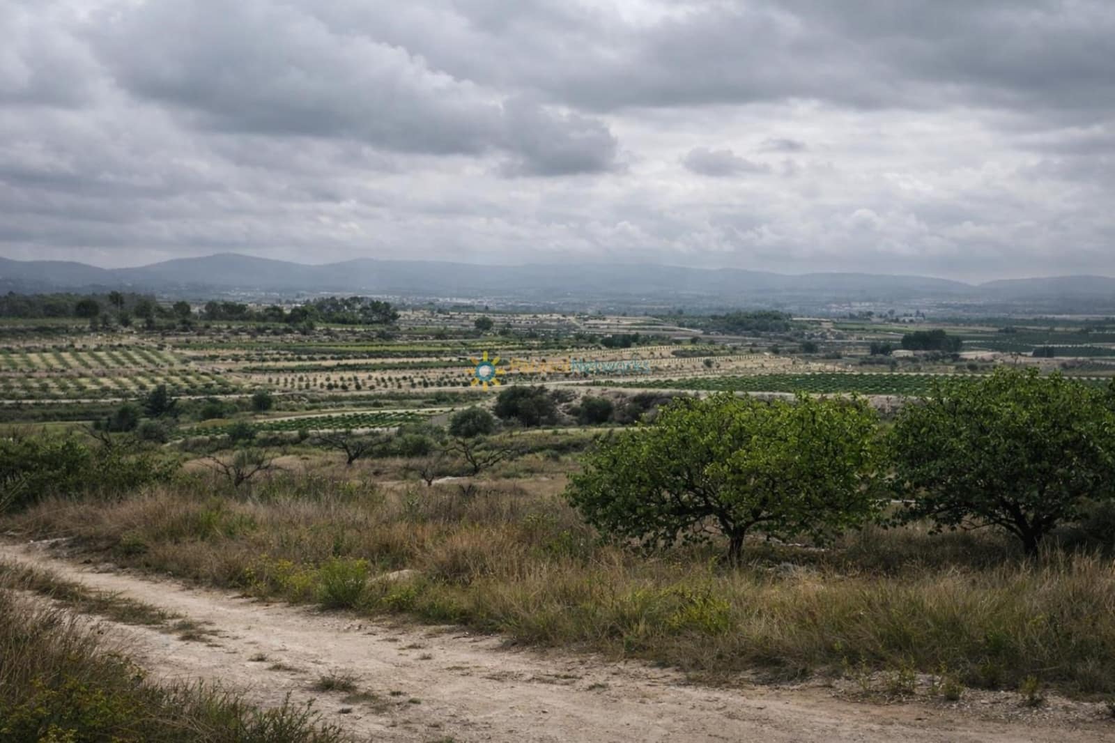 Terre non Aménagée à vendre à Albaida - 375 000 € (Ref: 10021787)