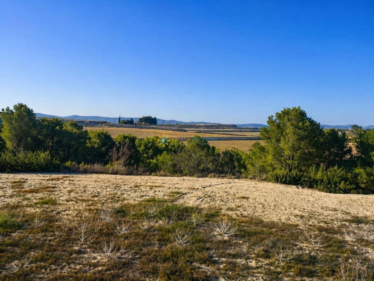 Teren niezagospodarowany na sprzedaż w Albaida del Aljarafe - 100 000 € (Ref: 10023195)