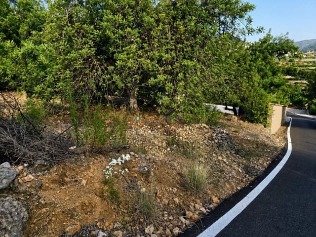 Terreno Non Edificato in vendita in L'Atzúvia - 23.000 € (Rif: 10023399)