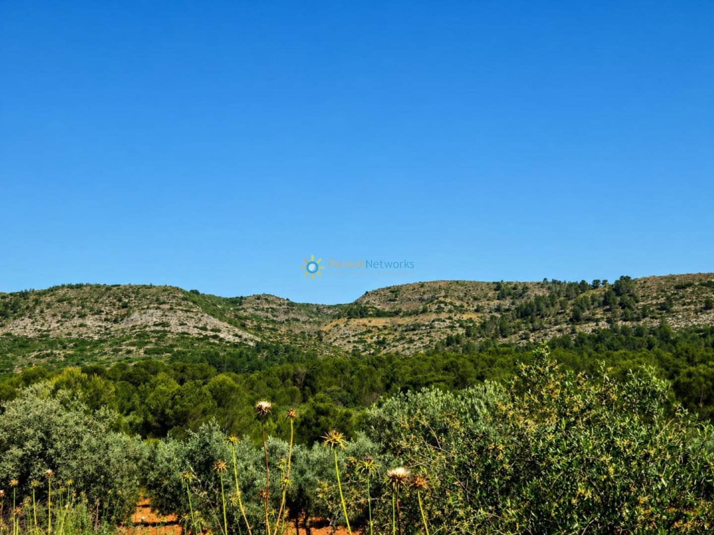 Terre non Aménagée à vendre à Bellus - 21 000 € (Ref: 10024568)