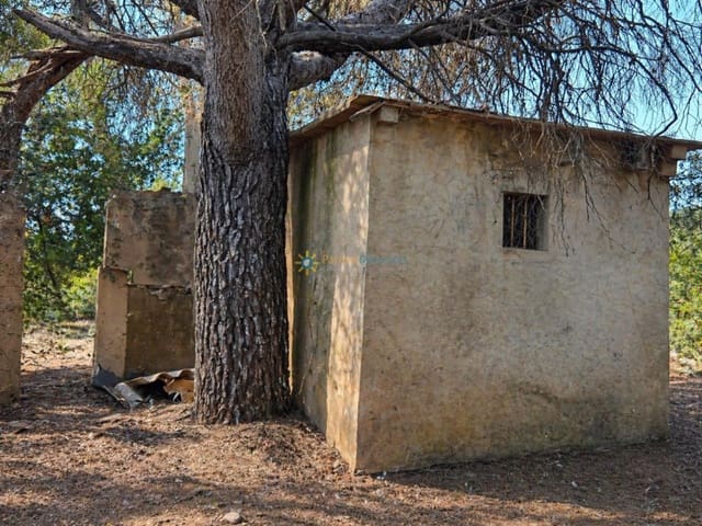 Terre non Aménagée à vendre à Bellús - 21 000 € (Ref: 10024568)