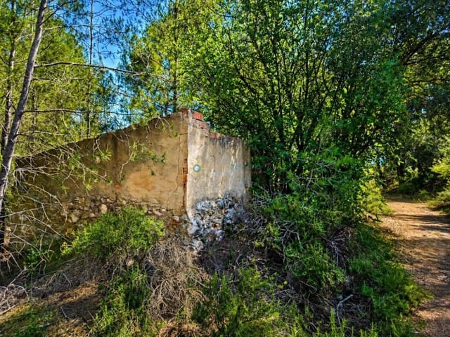 Terre non Aménagée à vendre à Bellús - 21 000 € (Ref: 10024568)