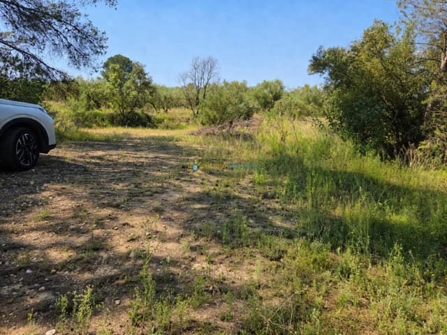 Terre non Aménagée à vendre à Bellús - 21 000 € (Ref: 10024568)