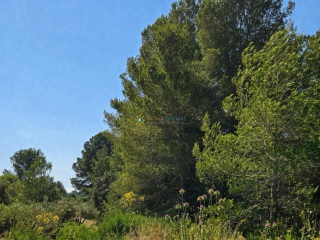 Terre non Aménagée à vendre à Bellús - 21 000 € (Ref: 10024568)