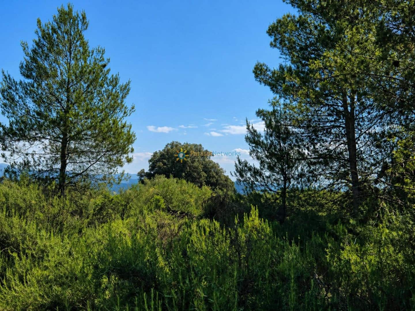 Terre non Aménagée à vendre à Bellus - 21 000 € (Ref: 10024568)