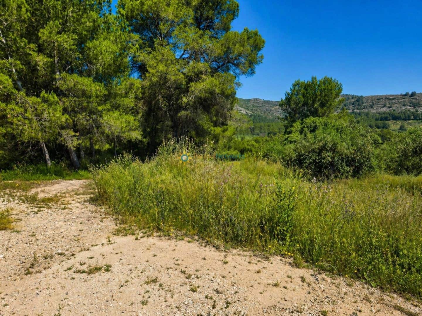 Terre non Aménagée à vendre à Bellus - 21 000 € (Ref: 10024568)