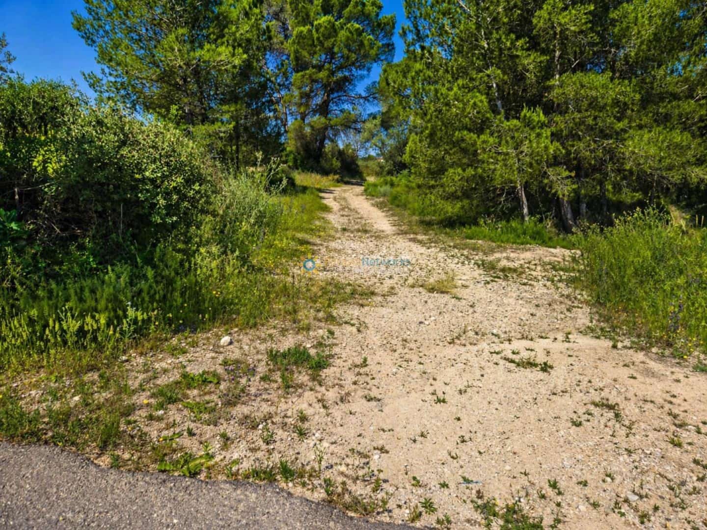 Terre non Aménagée à vendre à Bellus - 21 000 € (Ref: 10024568)