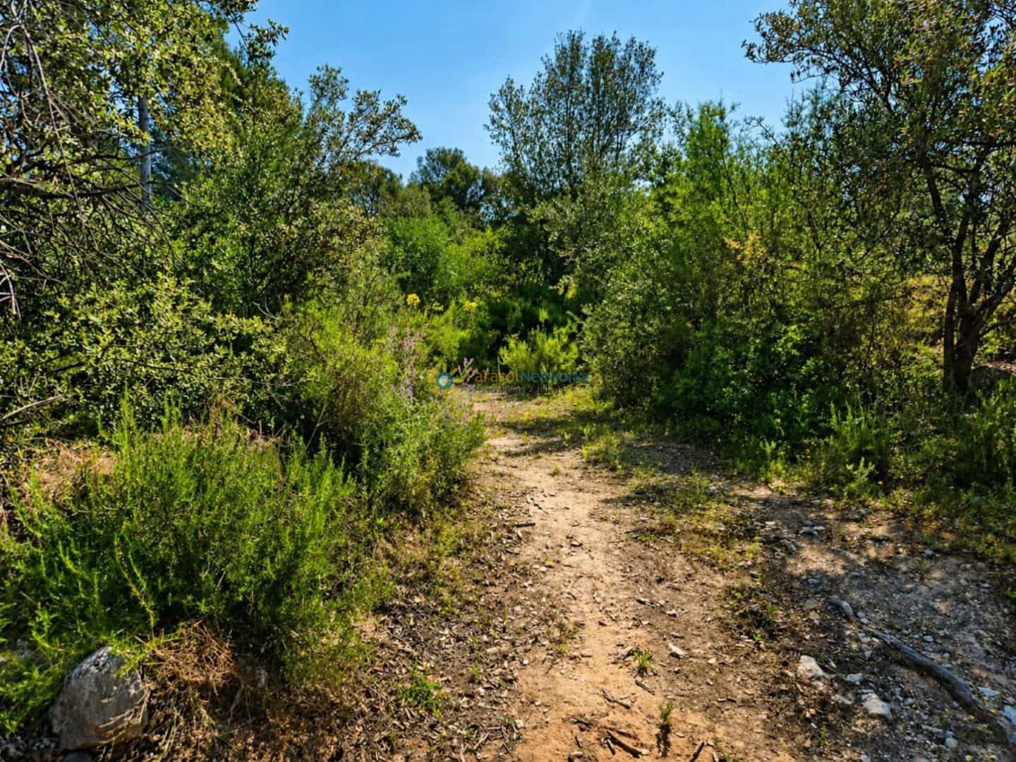 Terre non Aménagée à vendre à Bellus - 21 000 € (Ref: 10024568)