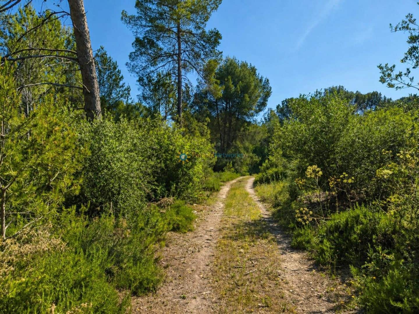 Terre non Aménagée à vendre à Bellus - 21 000 € (Ref: 10024568)