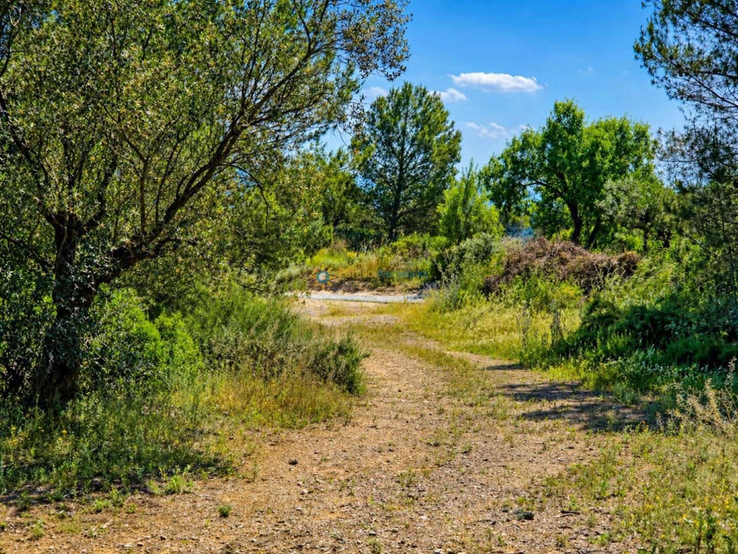 Terre non Aménagée à vendre à Bellus - 21 000 € (Ref: 10024568)