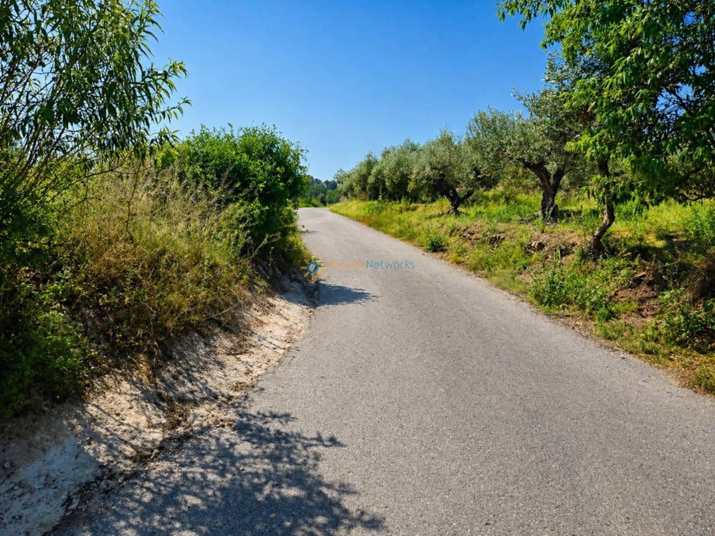 Terre non Aménagée à vendre à Bellus - 21 000 € (Ref: 10024568)