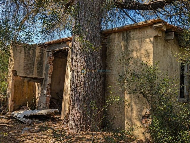 Terre non Aménagée à vendre à Bellús - 21 000 € (Ref: 10024568)