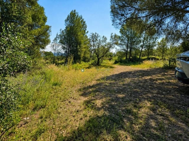 Terre non Aménagée à vendre à Bellús - 21 000 € (Ref: 10024568)