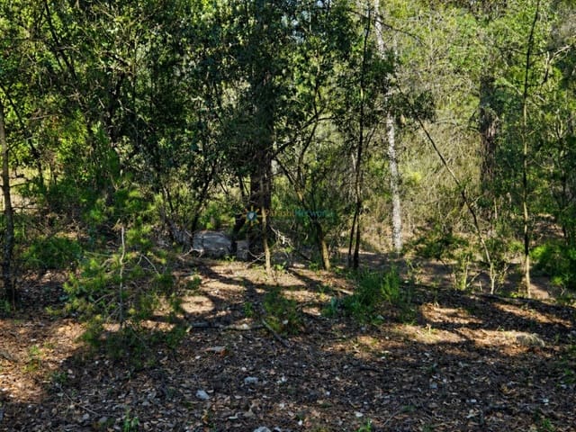 Terre non Aménagée à vendre à Bellús - 21 000 € (Ref: 10024568)
