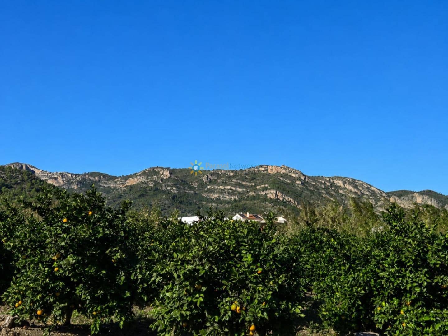 Undeveloped Land for sale in Xeraco - € 88,000 (Ref: 10024799)